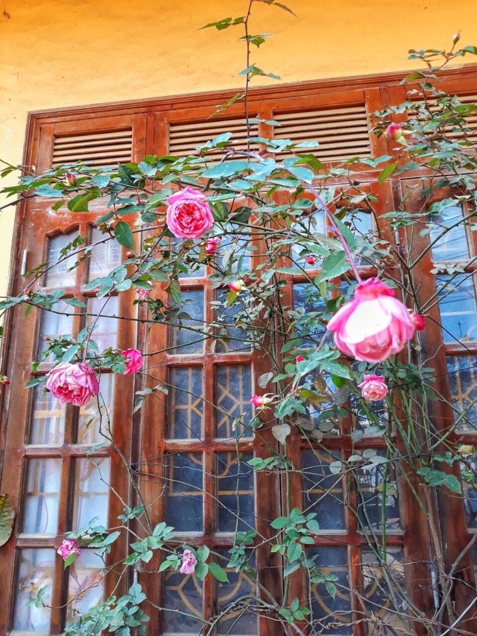 Thanh Ha Homestay Sapa Exterior foto